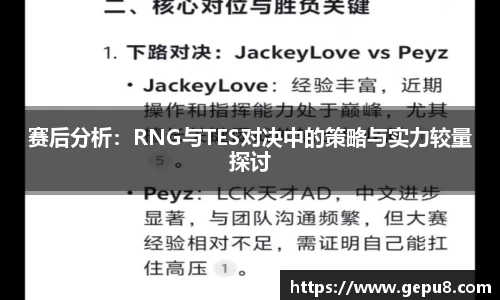 赛后分析：RNG与TES对决中的策略与实力较量探讨