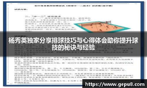中欧体育
