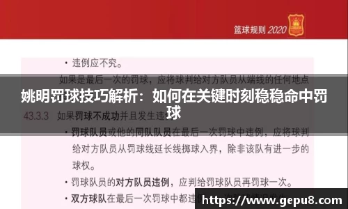 中欧体育