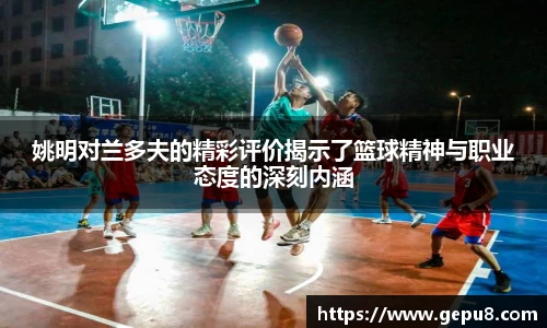 zoty中欧体育