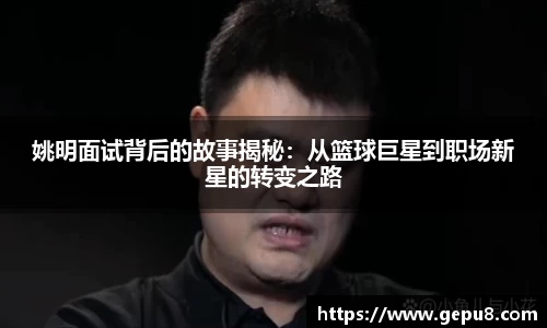 zoty中欧体育