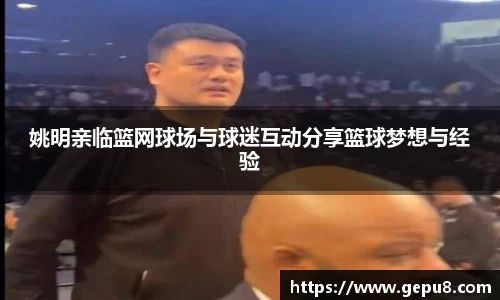 中欧体育