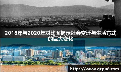 中欧体育
