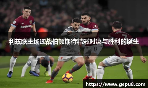 zoty中欧体育官网