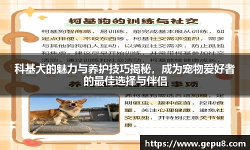 中欧体育