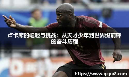 中欧体育
